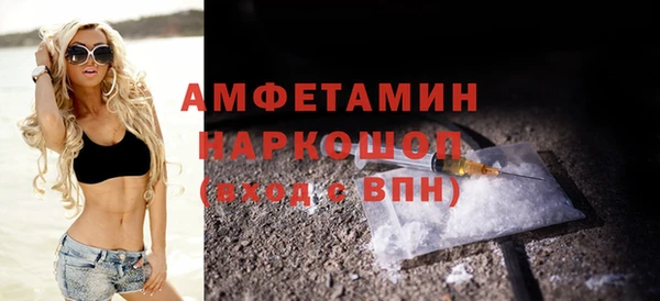 Альфа ПВП Бородино