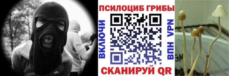 цена   Пыть-Ях  это клад  Галлюциногенные грибы мицелий 