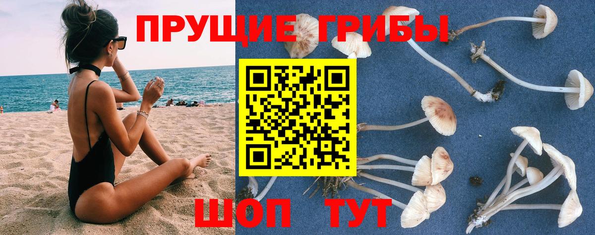 Галлюциногенные грибы мухоморы  Галлюциногенные грибы GOLDEN TEACHER  Вход с VPN  Пыть-Ях 